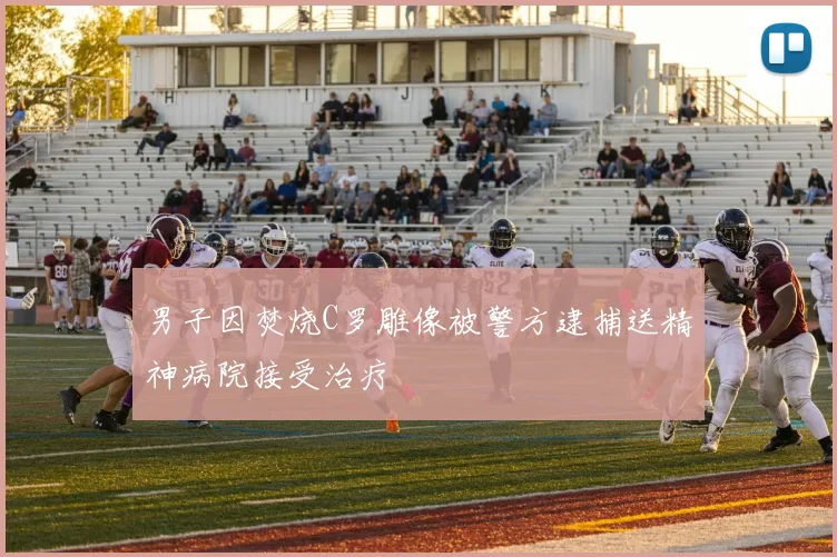 男子因焚烧C罗雕像被警方逮捕送精神病院接受治疗