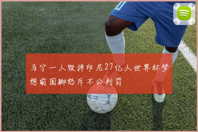 马宁一人毁掉印尼27亿人世界杯梦想前国脚怒斥不公判罚